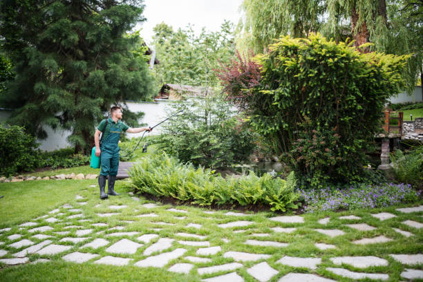 Reliable Francisville, KY Pest Control Solutions