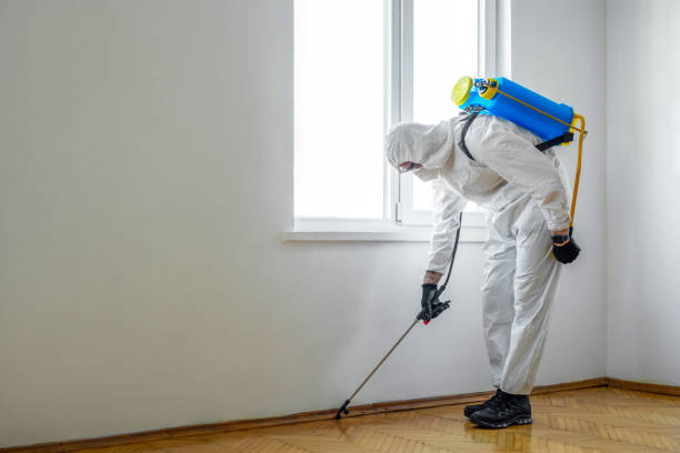 Best Best Pest Control Companies  in Francisville, KY