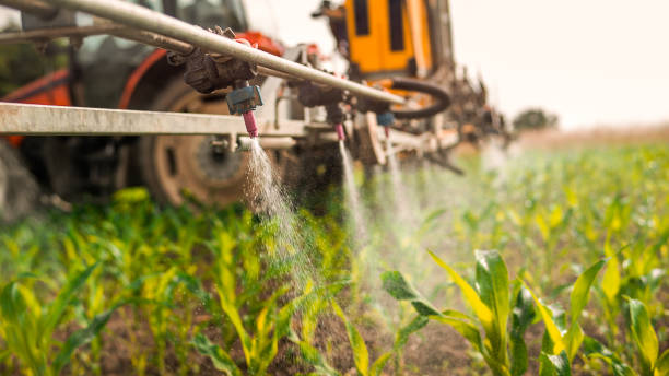 Best Mosquito Control Services  in Francisville, KY